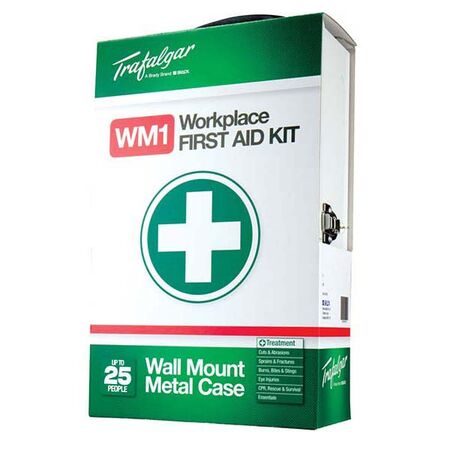 FIRST AID KIT, WALLMOUNT METAL CASE