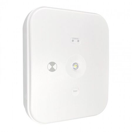 LED SURFACE MOUNT EMERGENCY DOWNLIGHT, 4W, 240V