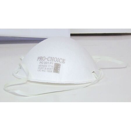 DUST MASK DISPOSABLE P1 PACK OF [3]
