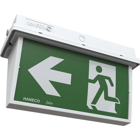 HANECO ESODO Box Surface Mount Exit IP65 IK10 24m Viewing 1.5W Li Battery 300x126x155mm 1.5hrs