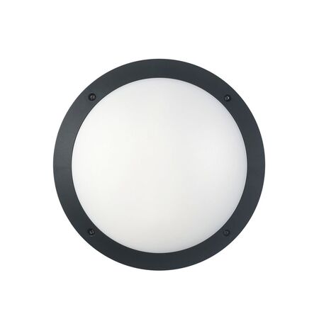 BULKHEAD 12W RND Blk 4K IP66 OD300mm 800 Lm