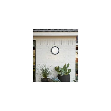 BULKHEAD 12W RND Blk 4K IP66 OD300mm 800 Lm