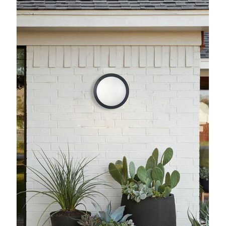 BULKHEAD 12W RND Blk 4K IP66 OD300mm 800 Lm