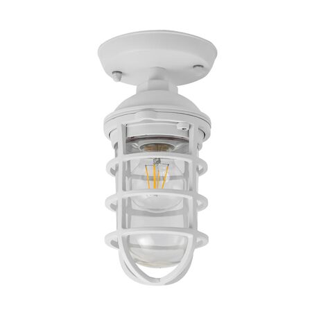 Wall/Ceiling S/M ES Cylinder Matt Blk Alum & Glass IP44 w/cage