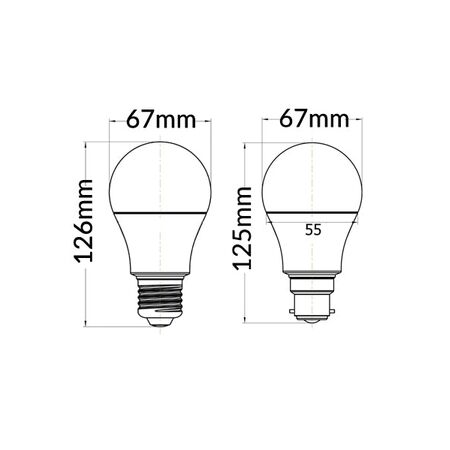 GLOBE LED BC GLS 15W 5000K FR 1470 Lm