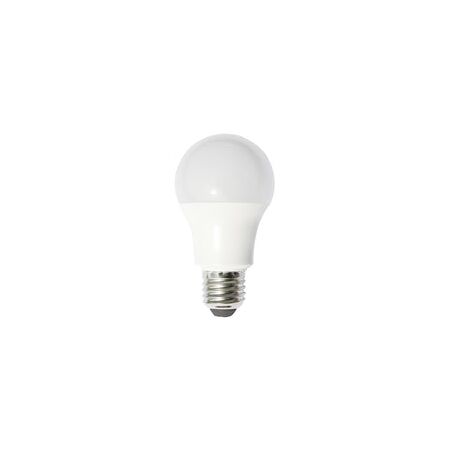 GLOBE LED ES GLS 6W 5000K FR 490 Lm