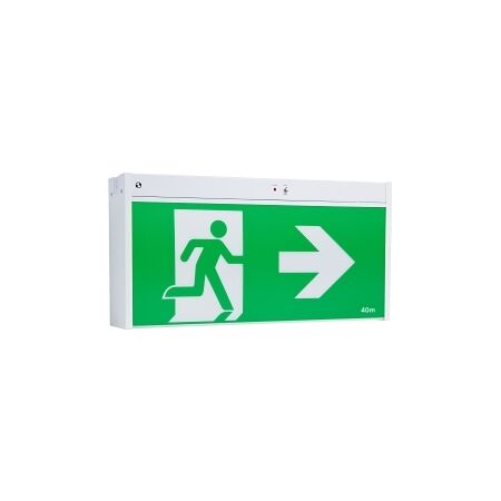 Stanilite Nexus LX Platinum Exit Lighting LED Jumbo Ceiling Mount DS