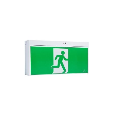 Stanilite Nexus RF Platinum Exit Lighting LED Jumbo Ceiling Mount SS