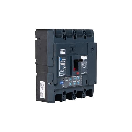 Terasaki TemBreak PRO MCCB 250 Frame 36kA 4P 250A Basic Electronic