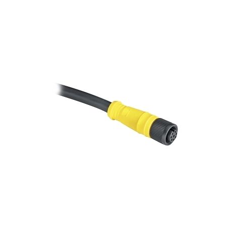 AB 889D Cordset Cable PVC Black 8 Pin 24AWG DC Micro Female Straight M12 Unshielded 10m