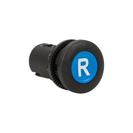 Sprecher and Schuh D7 PushButton 22.5 mm Plastic Flush Head Round Blue R
