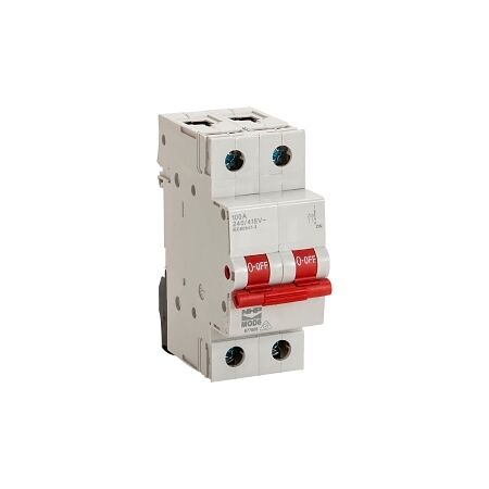 NHP MOD6 Main Switch 2Pole 100A