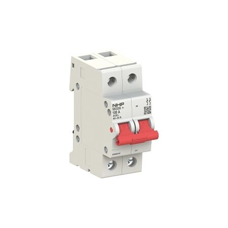NHP MOD6+ Main Switch 2 Pole 100A