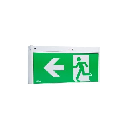 Stanilite Single Point Platinum Exit Lighting LED Jumbo Exit Ceiling Mount SS