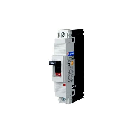 Terasaki TemBreak 2 MCCB 160 Frame 25kA 1P 125A