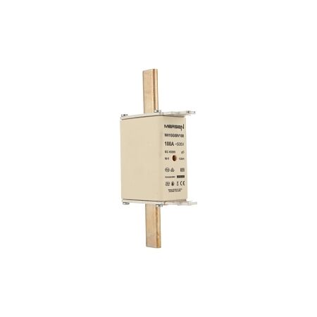 Mersen DIN Fuse gG DIN Size 1 500V AC 250A