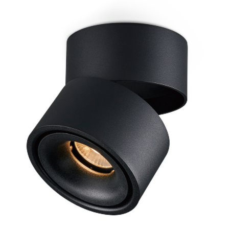 Round Surface Mount DL Black Tri Color 12w