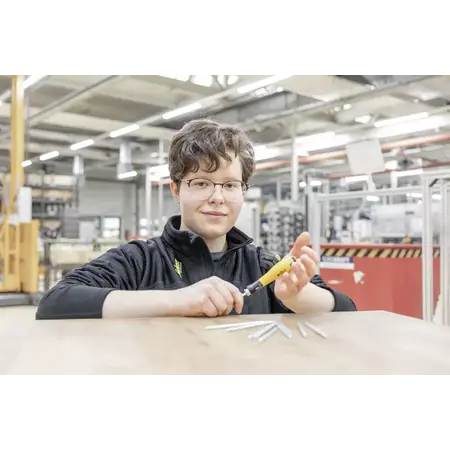 Screwdriver with interchangeable blade set SYSTEM 4 ESD