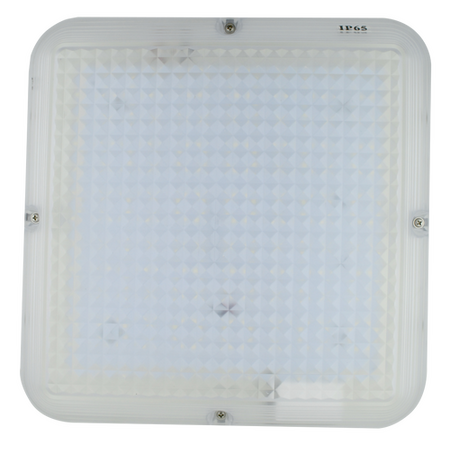 IP65-IK10 Bulkhead