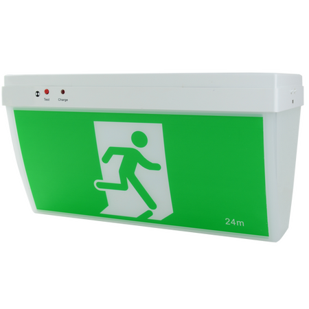 Ceiling Mount Exit