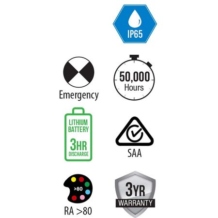 Surface Mount Emergency Downlight - Black