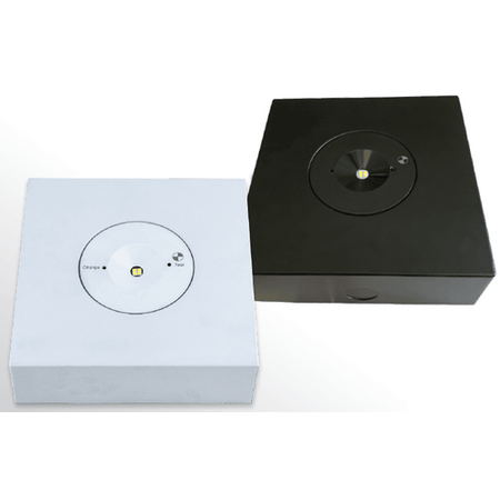 Surface Mount Emergency Downlight