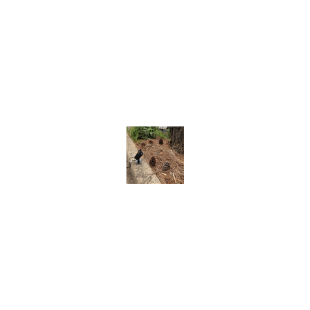 TREE BRACKET TO SUIT ZOOM-PRO-5 SERIES