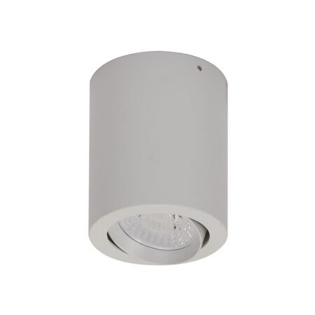 NEO-10 Round 10W Surface Mount Tiltable LED Dimmable IP20 Downlight - White