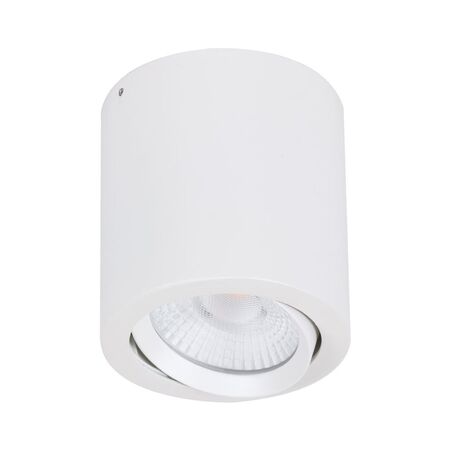 NEO-20 Round 20W Surface Mount Tiltable LED Dimmable IP20 Downlight - White
