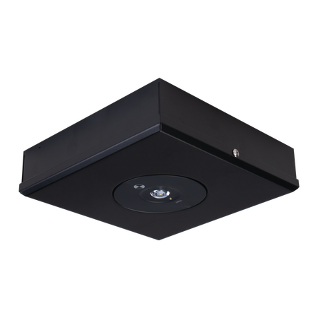 3.5W S/M LED EMERGENCY LIGHT NON-MAIN D63 CLASS