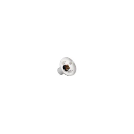 BC Lamp Holder Socket | 100W | Surface Mounted | Polycarbonate by Transco