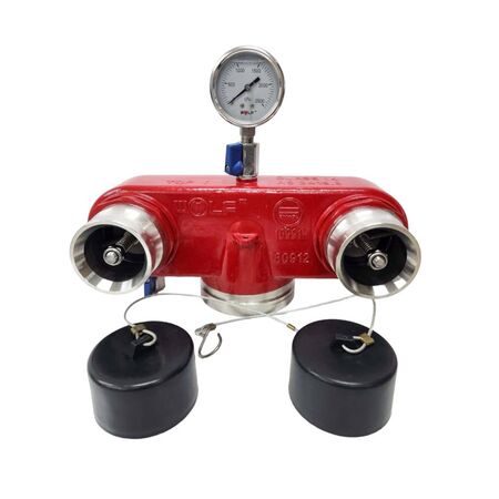 Dual Booster Valve-Bottom Outlet BI Assembly | 304 Stainless Steel | 2,100 kPa Working Pressure | Painted Red by Firebox