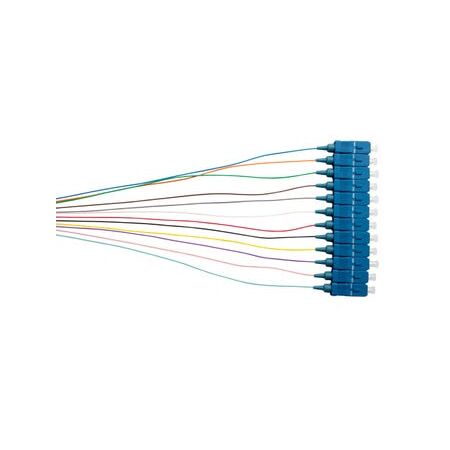 MSS Fibre SM 9um 12-Fibre SC 900um Pigtails - 12 Pack