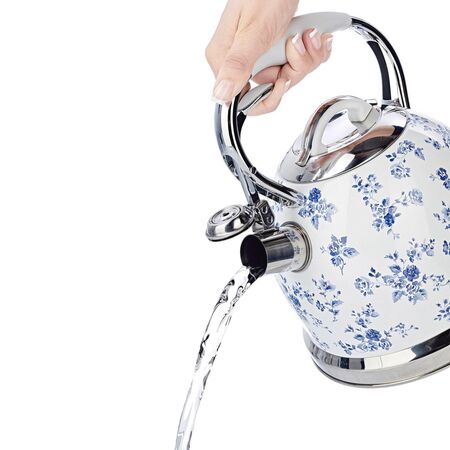 Stove Top Kettle 2.5L | Food Grade Stainless Steel | Fast Cooling Handle & Whistling Sound | China Rose by GAF