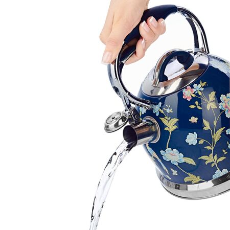 Stove Top Kettle 2.5L | Fast Cooling Handle | Whistling Sound | Elveden Blue by GAF