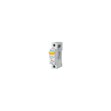 Miniature Circuit Breaker PLS6-C25-MW | 25A Rated Current | C Tripping Characteristic | IP20 Protection by Eaton