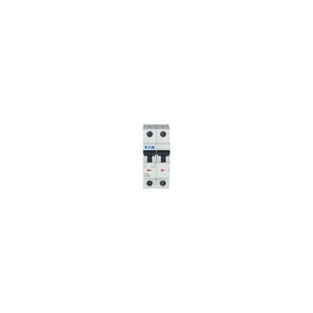 Miniature Circuit Breaker 2 Pole 6A | High Breaking Capacity 15 kA | IP40 Rated by Eaton