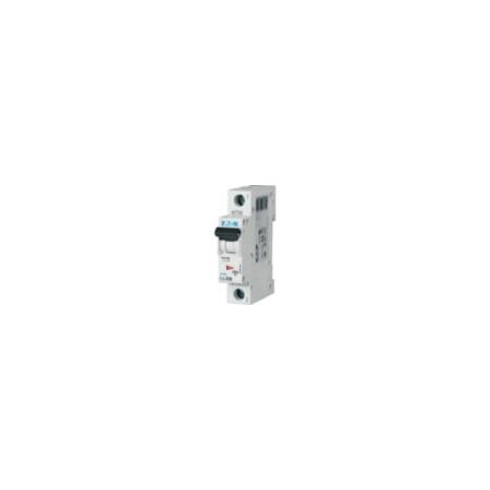 Miniature Circuit Breaker 40A C Curve | Single Pole | IP20 Protection | 6kA Switching Capacity by Eaton