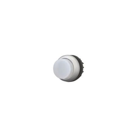 Illuminated Push Button Switch | Momentary Action | White with Titanium Bezel | CE Marked by Eaton