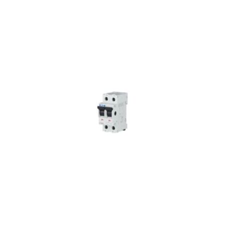 Main Load Disconnector Switch | 100 A Rated Current | IP40 Protection | Two-Pole by Eaton