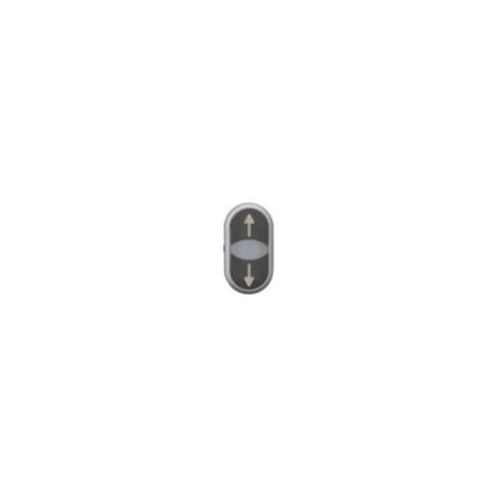 Double Actuator Push Button Switch | Momentary Action | White Lens & Black Body | RMQ-Titan by Eaton