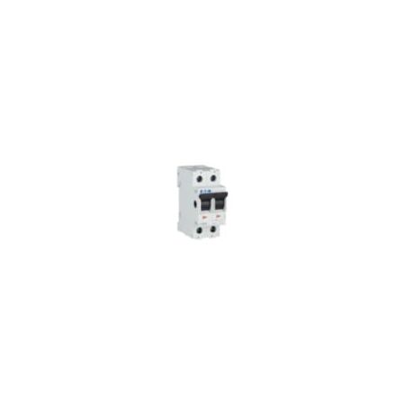 Main Load Disconnector Switch | 100 A Rated Current | IP40 Protection | Two-Pole by Eaton