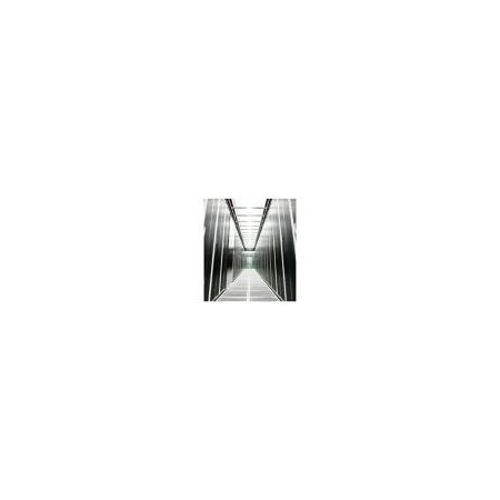 Server Enclosure 42U | 1500kg Load Rating | Three-Point Locking System | Black by Eaton