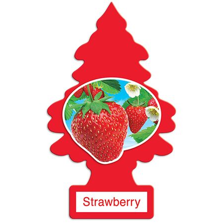 Strawberry Air Freshener | Single Pack | Long-Lasting Scent | Easy Hanging Design by CW Brands