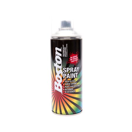 Clear Spray Paint 250gm | Quick Drying & Glossy Finish | Rust Prevention by CW Brands