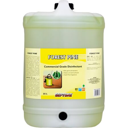 Commercial Grade Disinfectant 25L | Liquid Quaternary Ammonium | Kills Bacteria & Microorganisms | Fresh Pine Scent by CW Brands