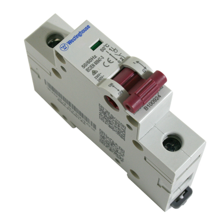 DIN Isolator 110A 1P
