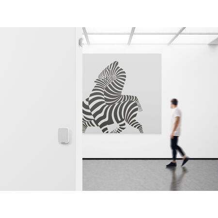 Wireless Security Keypad AJAX | Capacitive Touch | Up to 200 Codes | AES Encryption | by Dicker Data