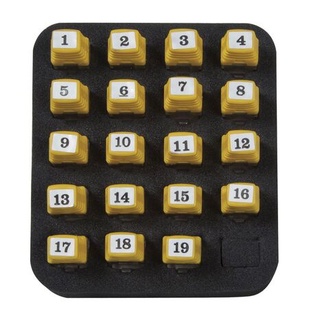 Carrying Case for Scout™ Pro 3 Tester and Locator Remotes