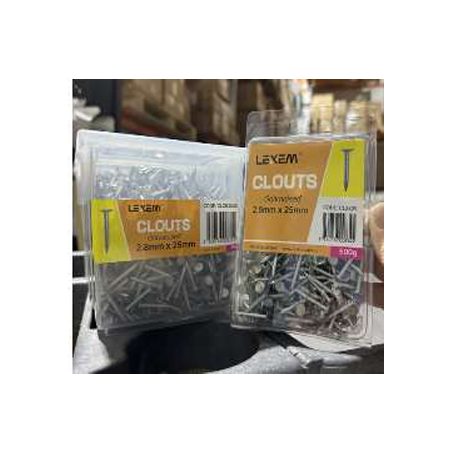 CLOUTS 2.8mmx25mm Steel Nails | Large Flat Head | Durable Construction | @Pack of 500g | by LEXEM